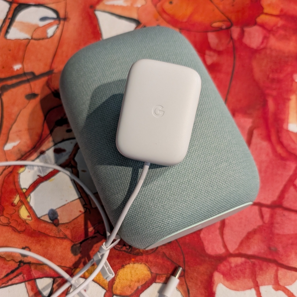Sage Green Google Nest Home Speaker